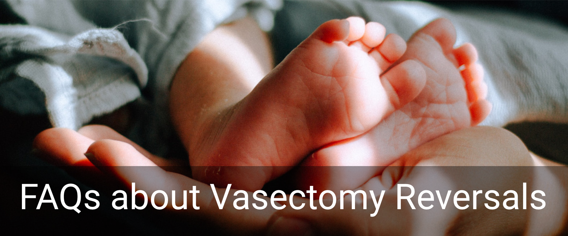 Vasectomy Reversal FAQs Vasectomy Reversal FAQs